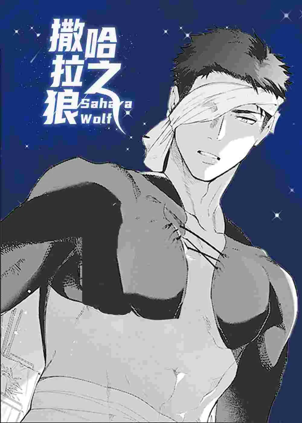 撒哈拉之狼封面