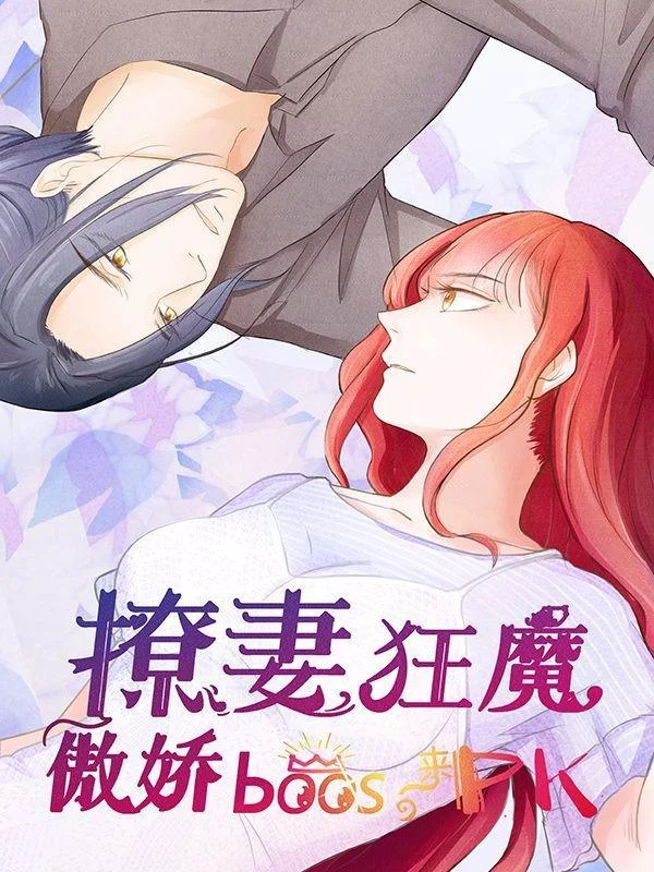 撩妻狂魔：傲娇boss来pk封面