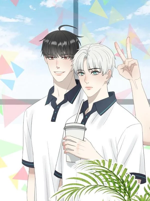 撩花封面