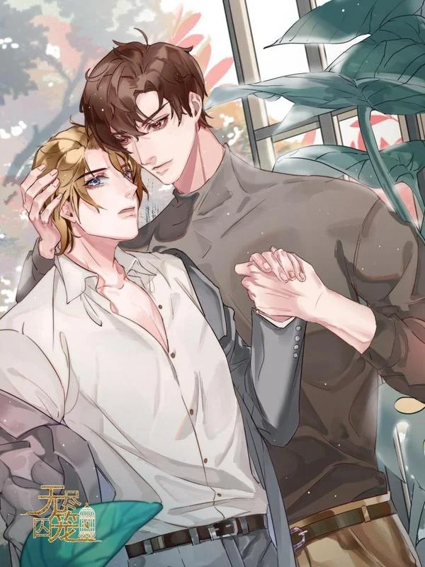 无尽囚笼封面