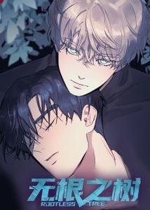 无根之树封面