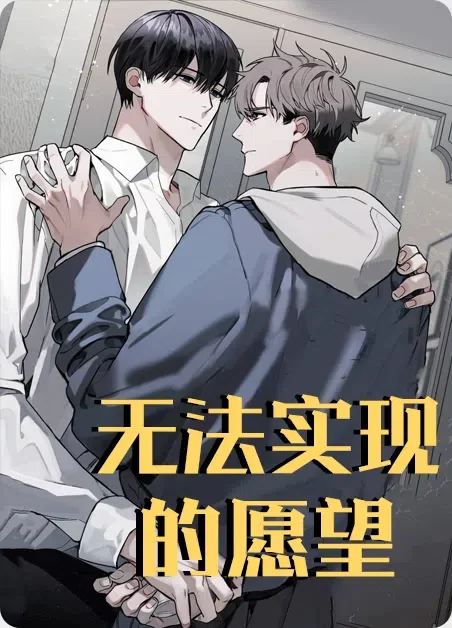 无法实现的愿望封面