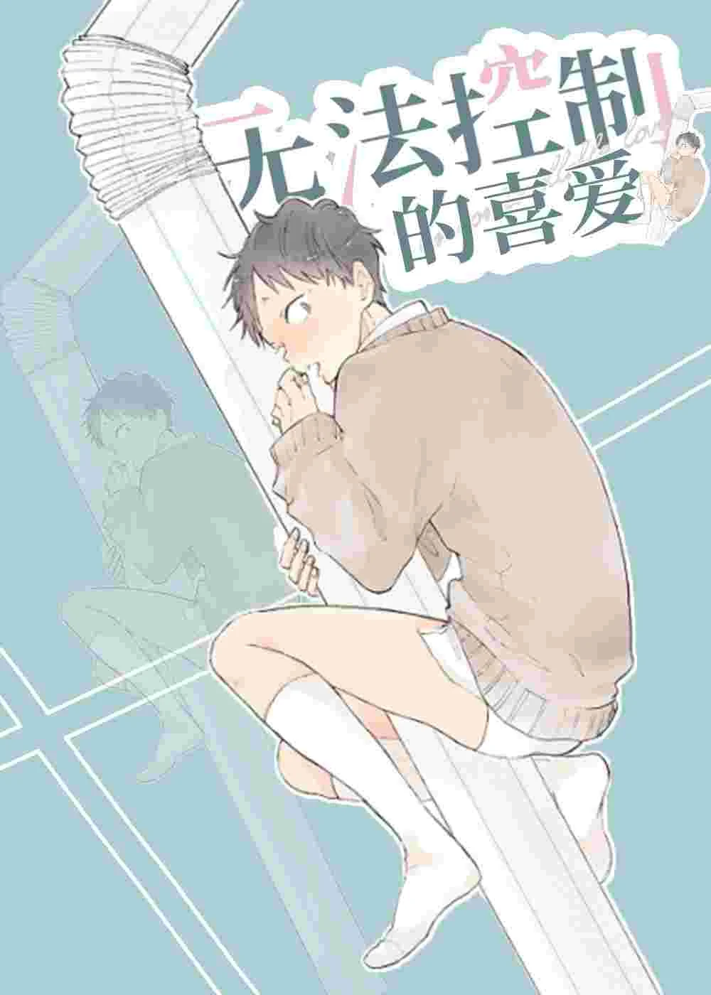 无法控制的喜爱封面