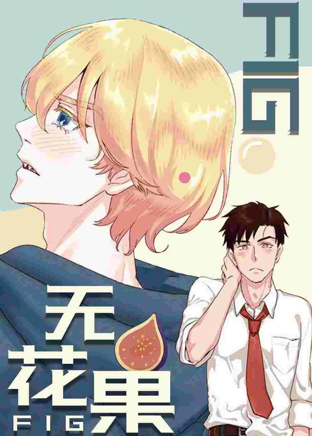 无花果封面