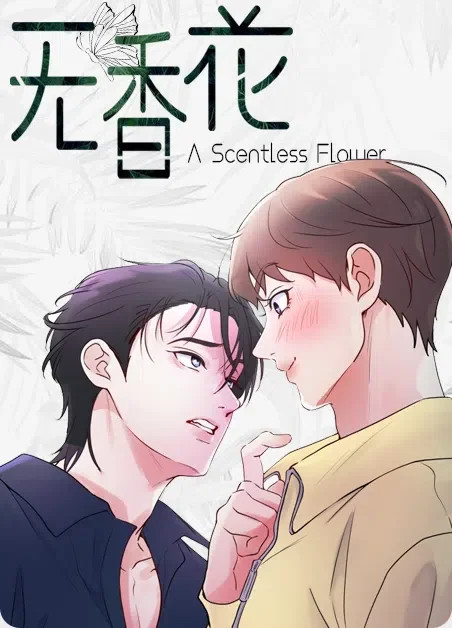 无香花封面