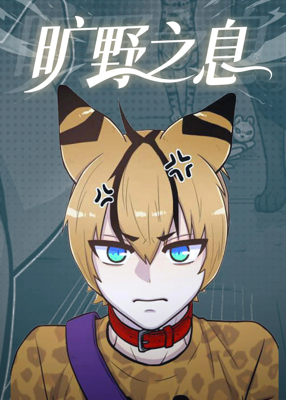 旷野之息封面
