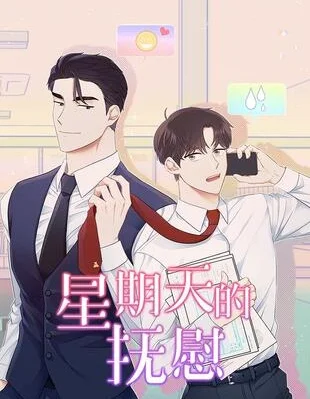 星期天的抚慰封面