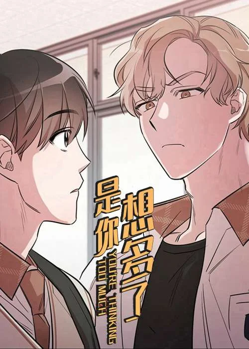是你想多了封面