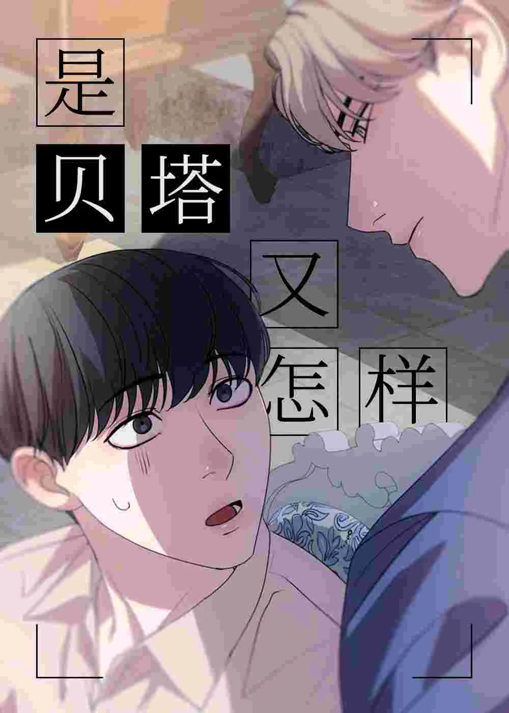 是贝塔又怎样封面