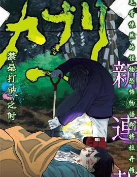 智峰雾影封面