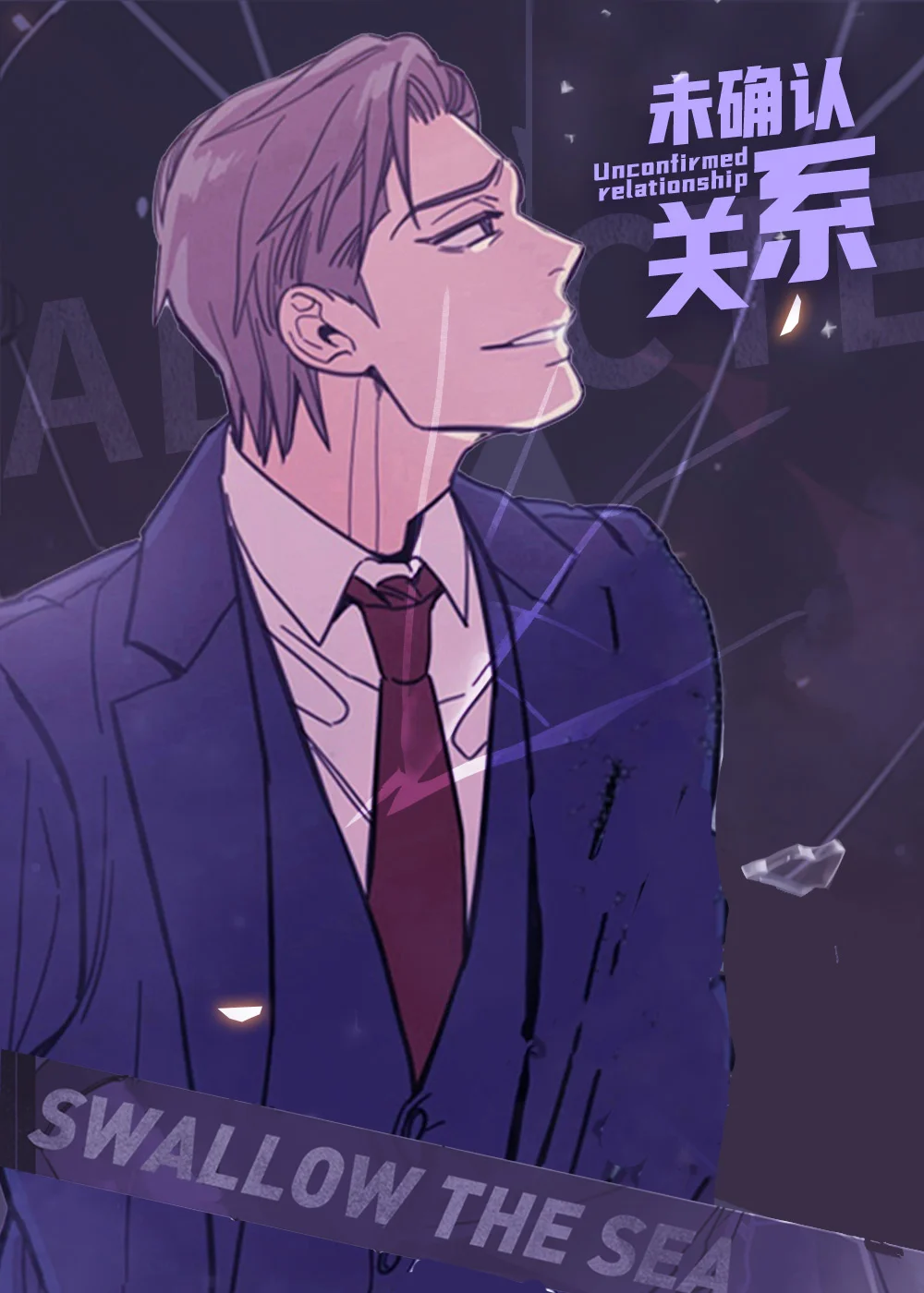 未确认关系封面