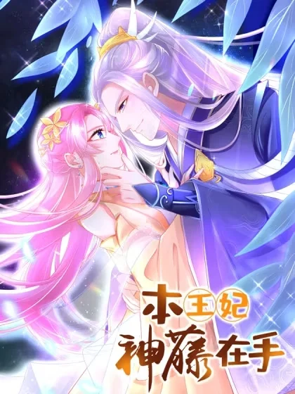 本王妃神藤在手封面