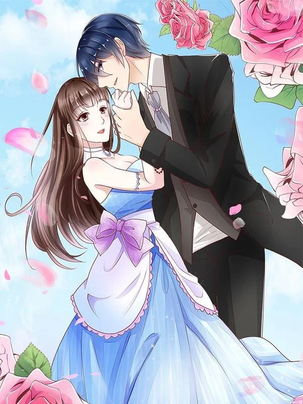 权少的隐婚小甜妻封面