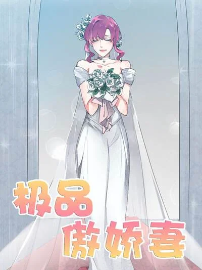 极品傲娇妻封面