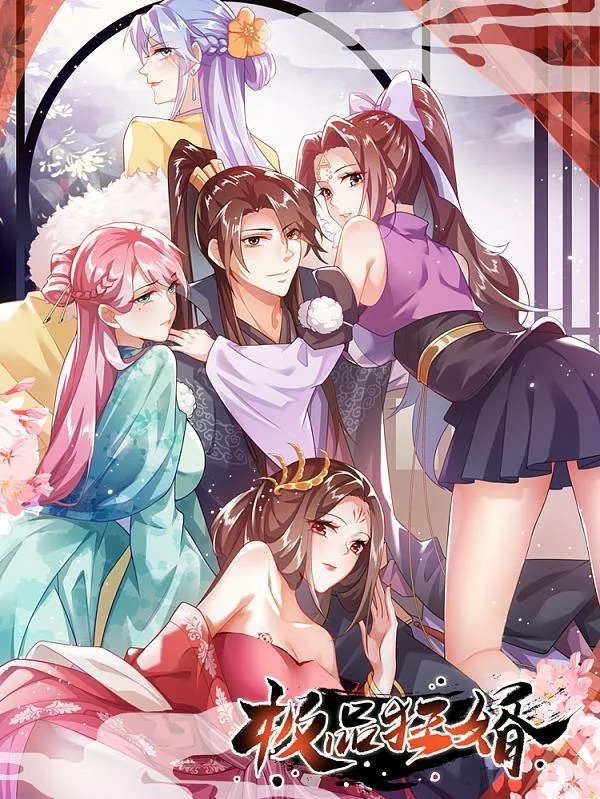 极品狂婿封面