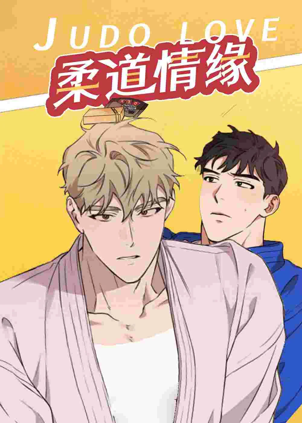 柔道情缘封面