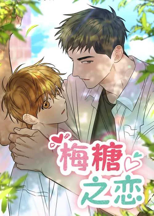 梅糖之恋封面