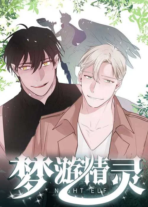 梦游精灵封面