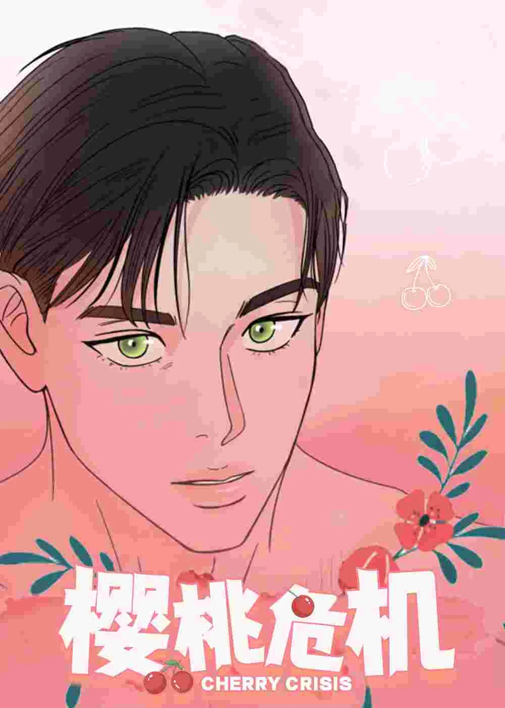 樱桃危机封面