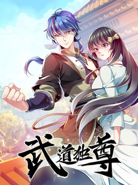 武道独尊封面