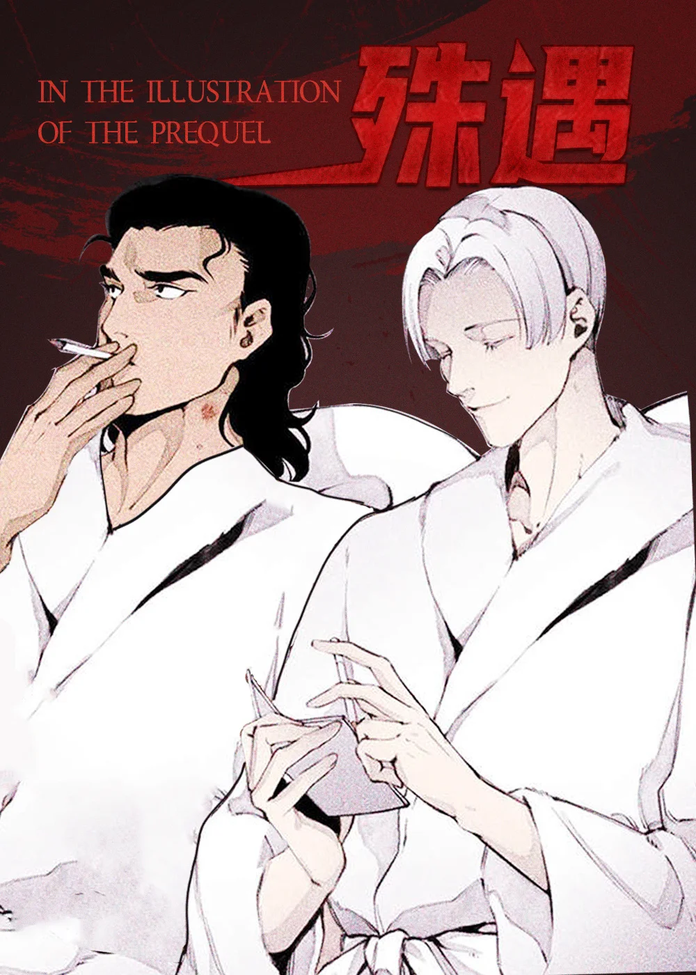 殊遇前传封面