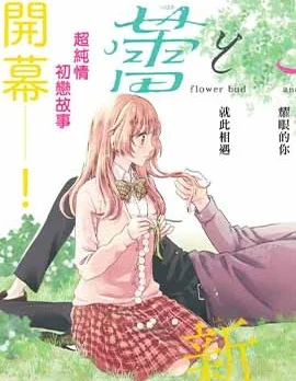 流星花缘封面