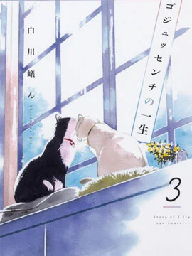 流浪猫的一生封面