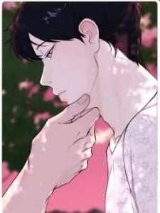 海岛人生封面