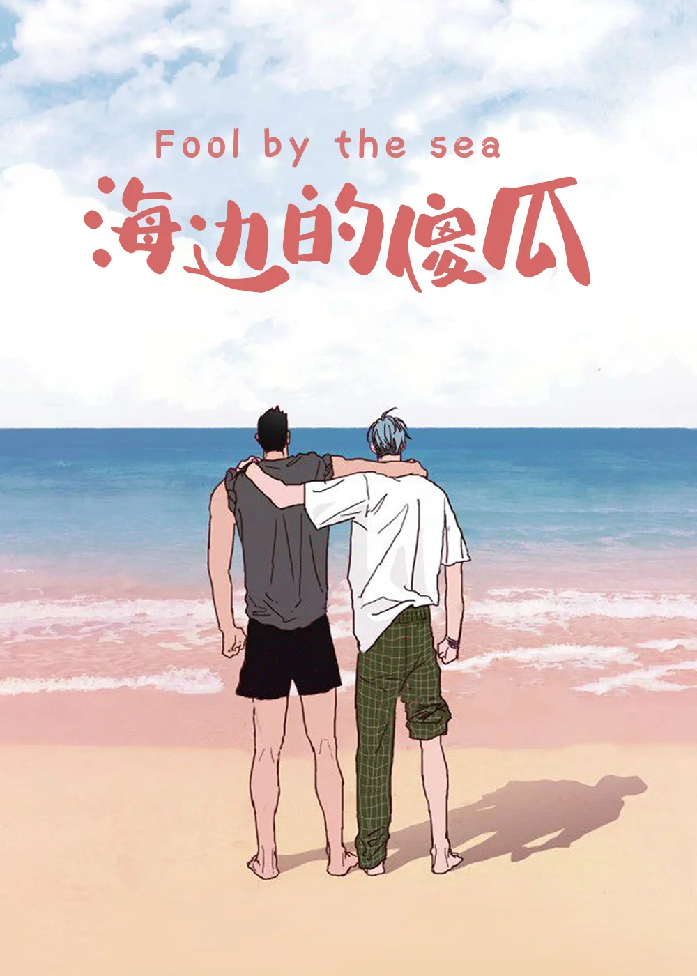 海边的傻瓜封面