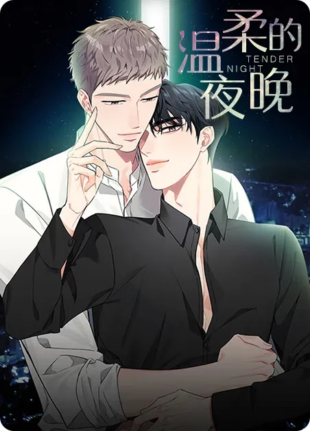温柔的夜晚封面