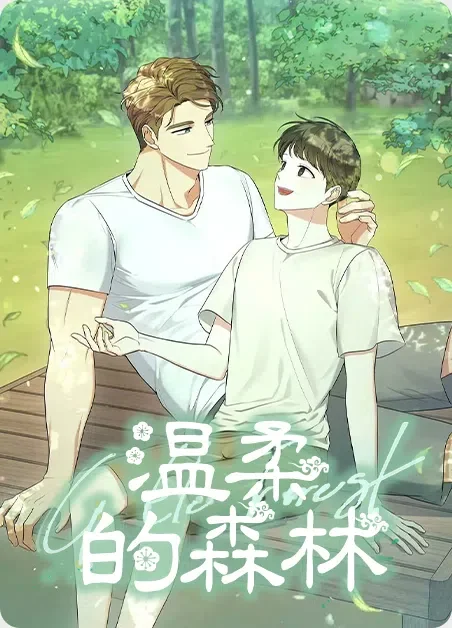温柔的森林封面