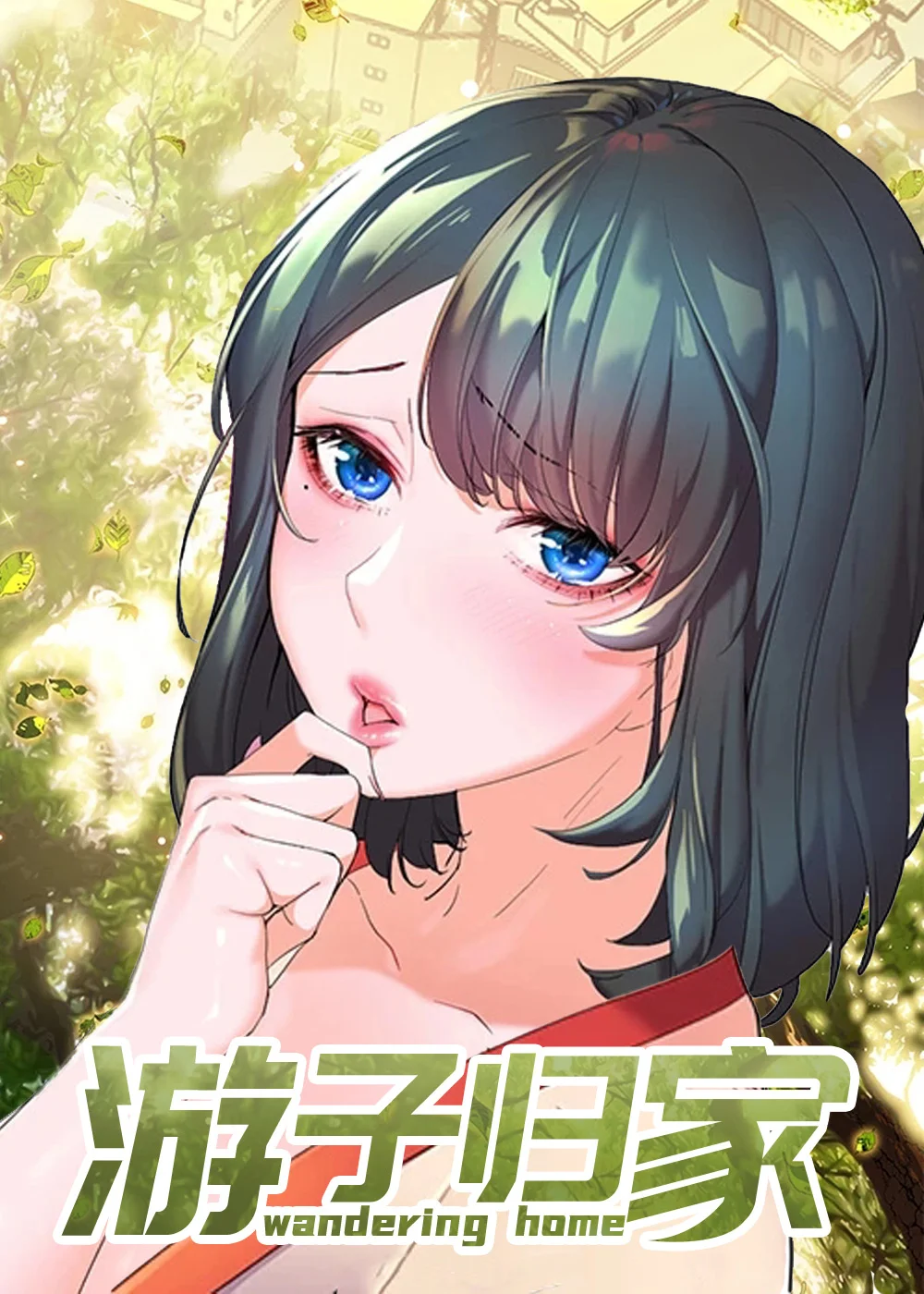游子归家封面