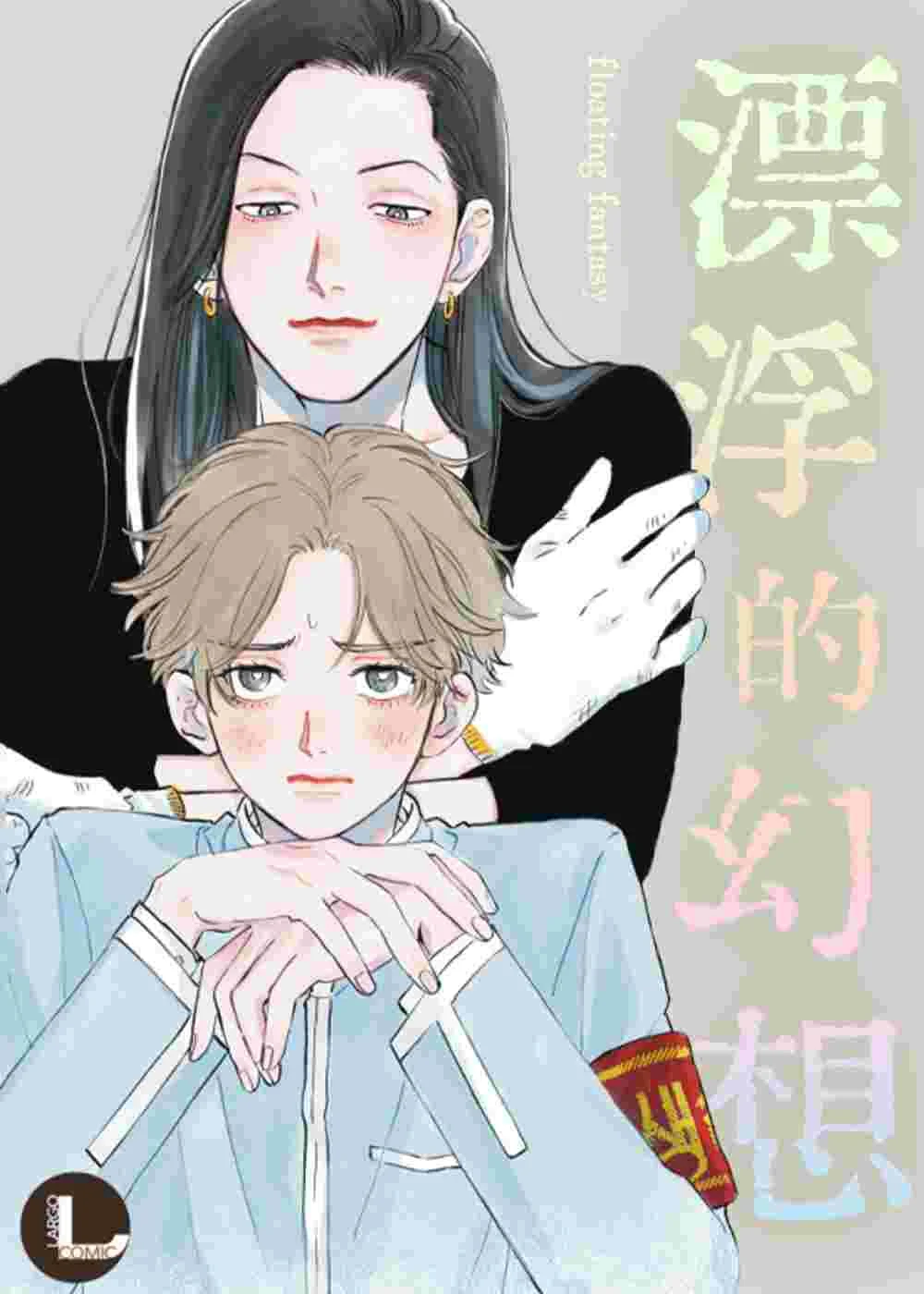 漂浮的幻想封面