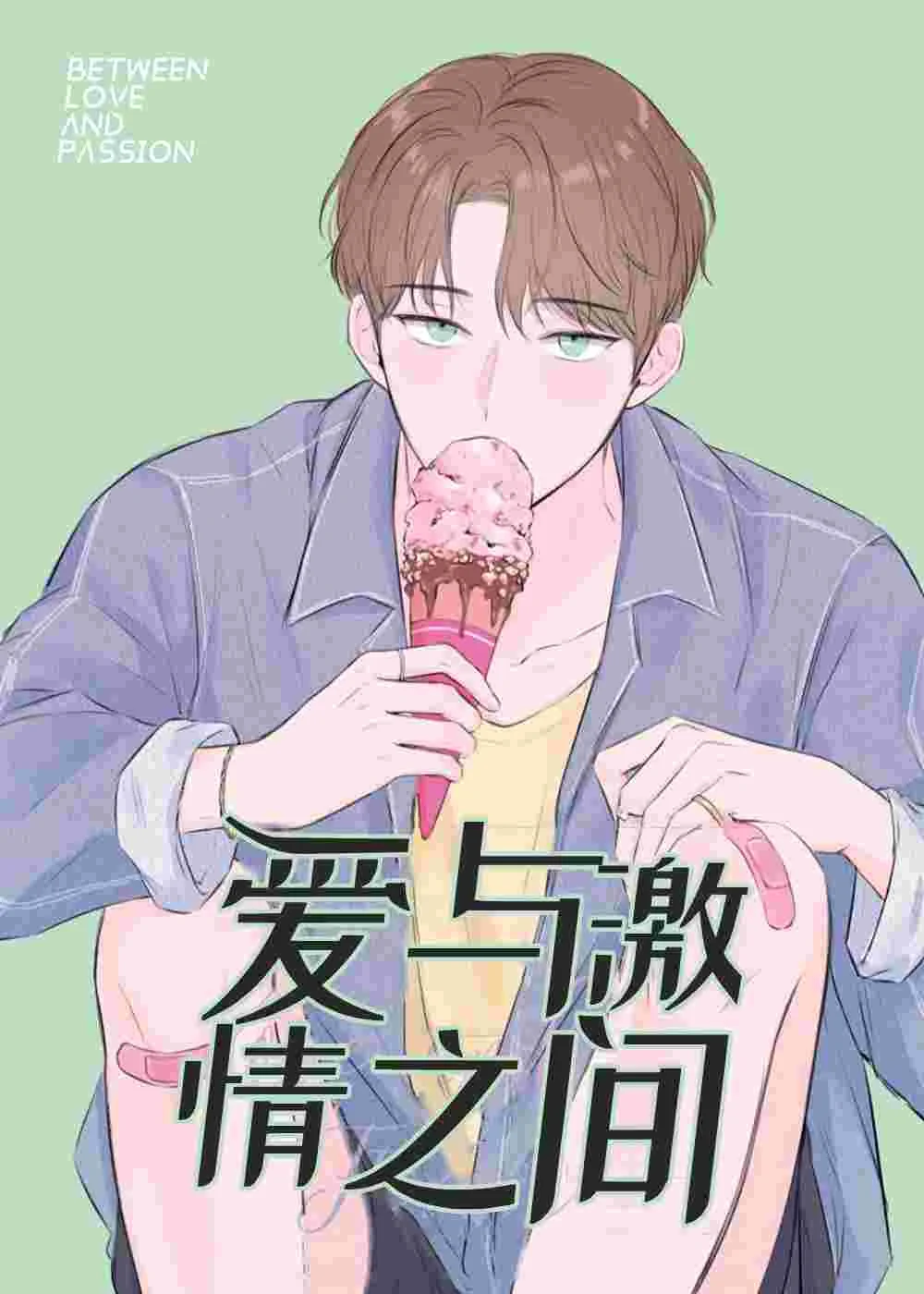 爱与激情之间封面