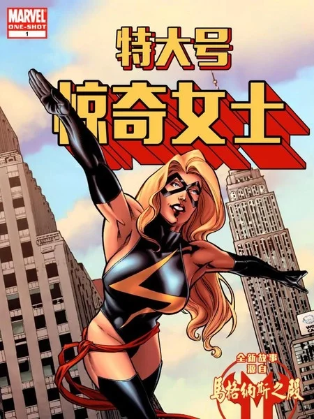 特大号惊奇女士封面