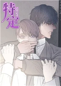 特定封面