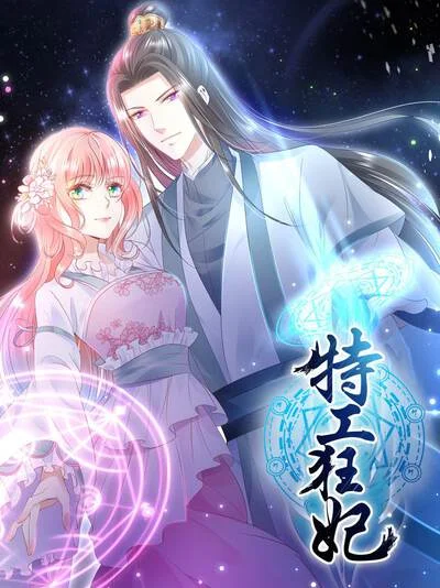特工狂妃封面