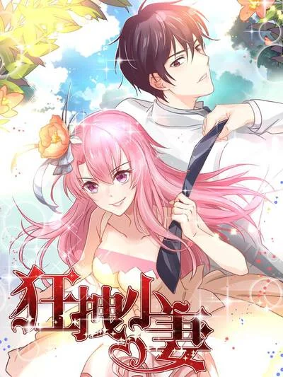 狂拽小妻封面