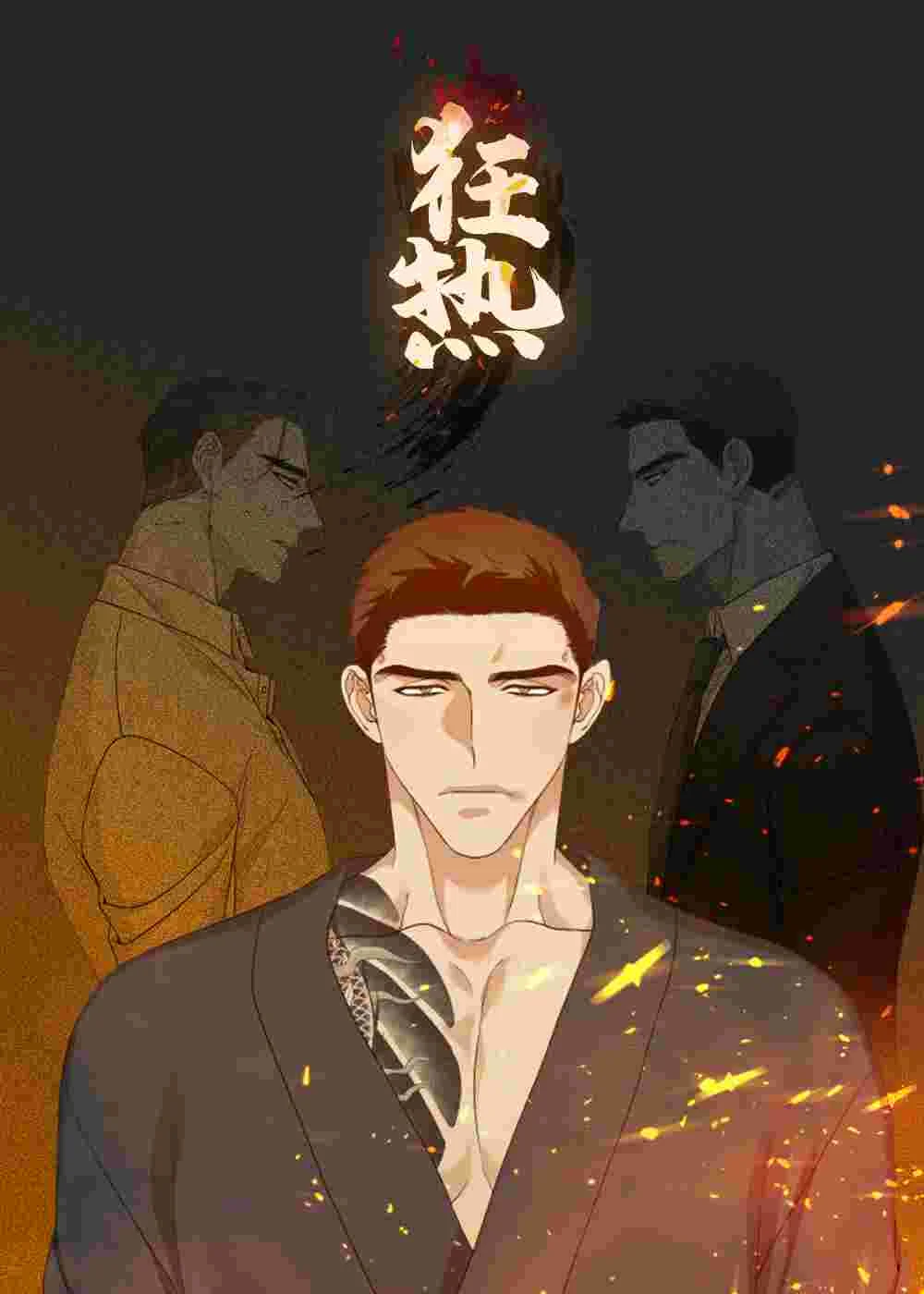 狂热封面