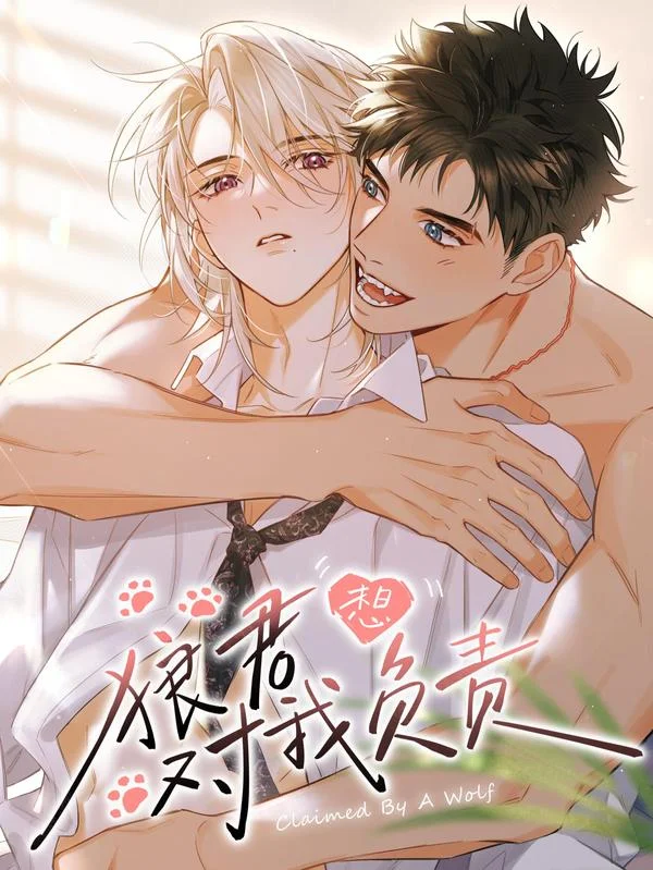 狼君想对我负责封面