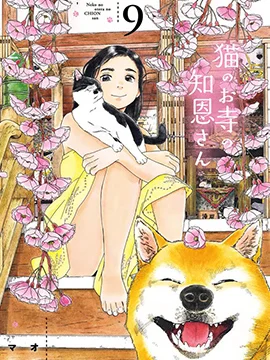 猫之寺的知恩姐封面