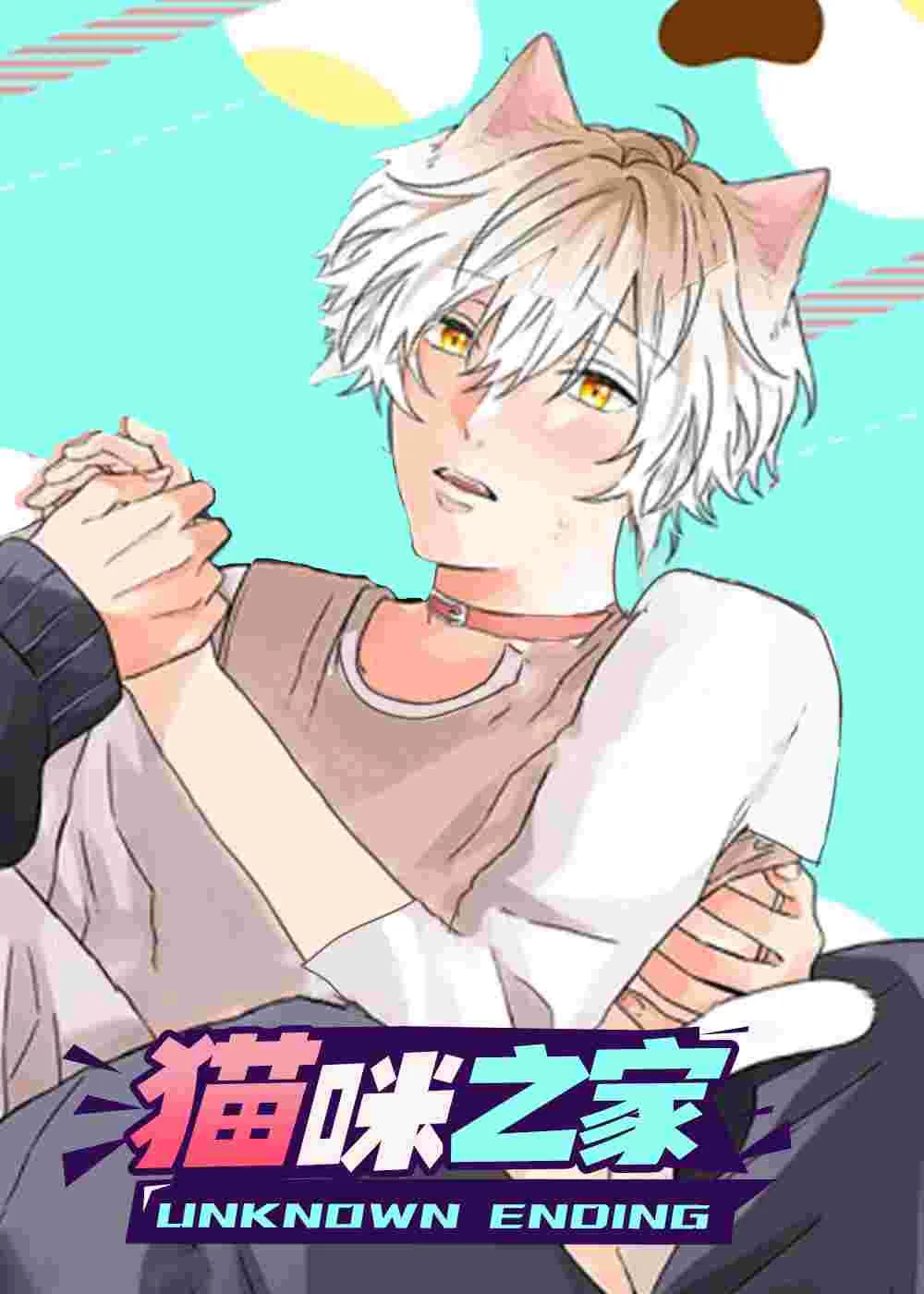 猫咪之家封面