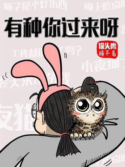 猫头鹰睡不着封面