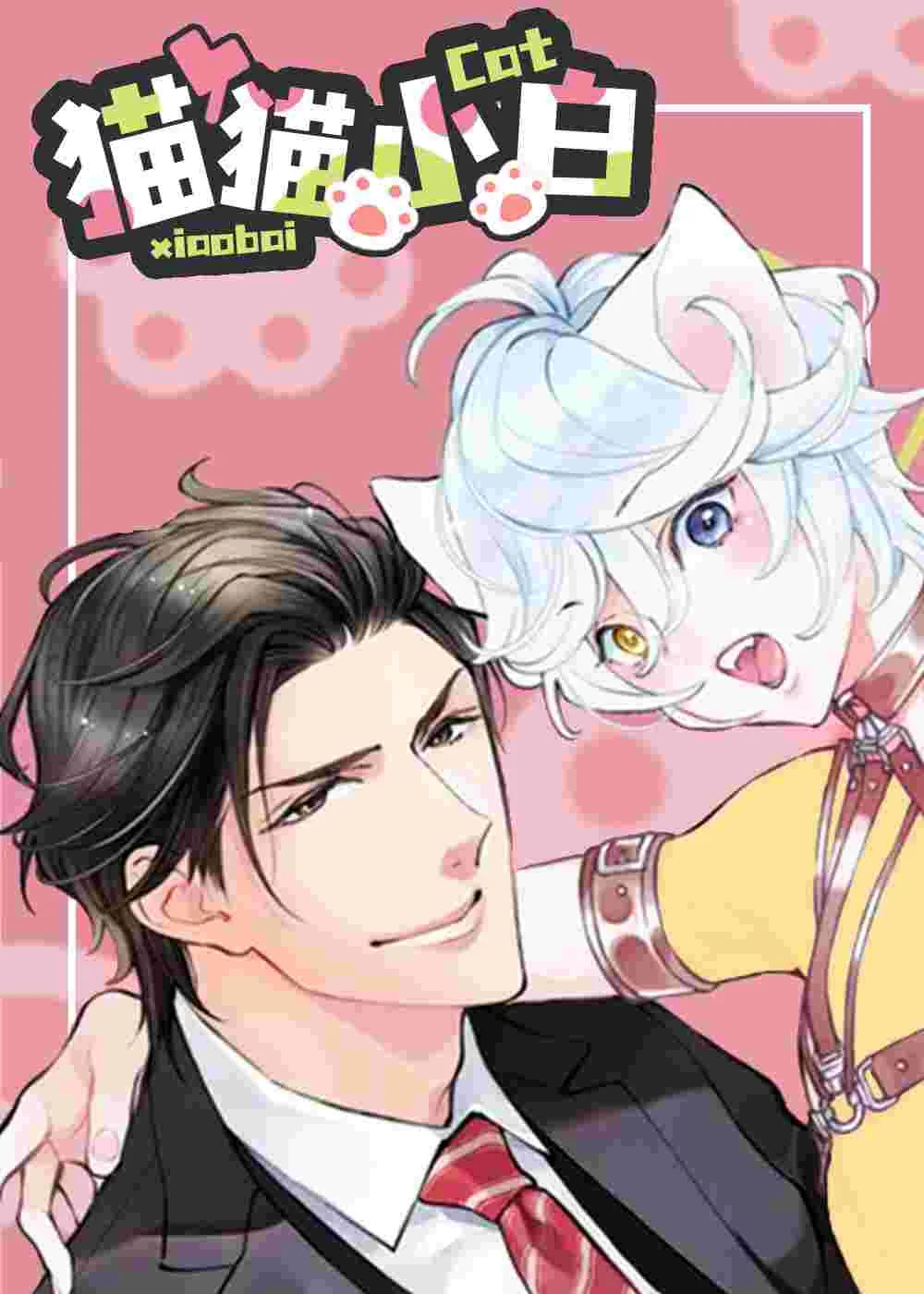 猫猫小白封面