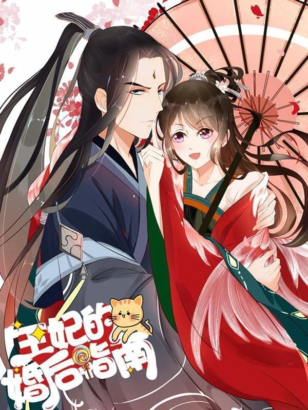 王妃的婚后指南封面