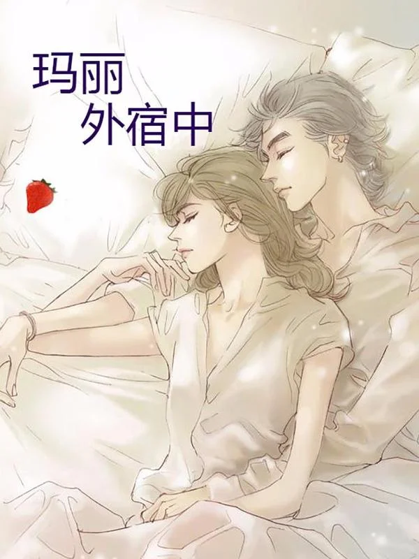 玛丽外宿中封面