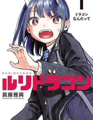 琉璃龙龙封面