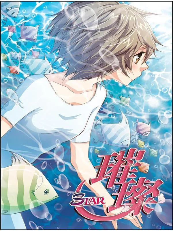 璀璨之星封面