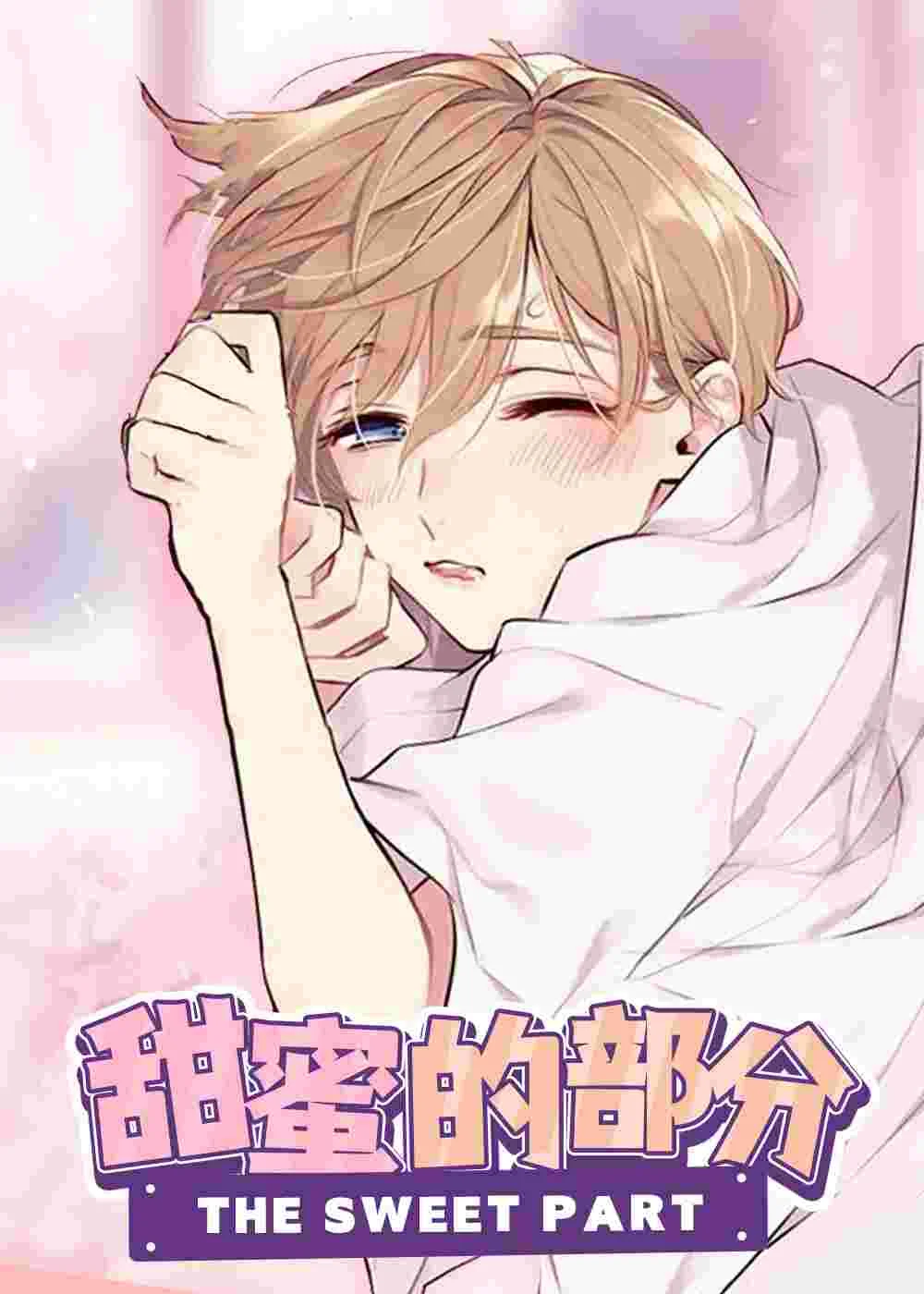 甜蜜的部分封面
