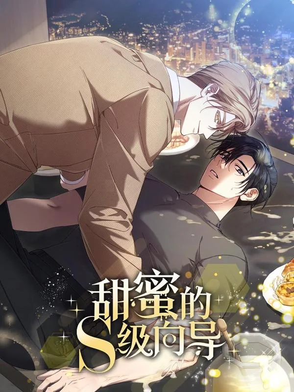 甜蜜的S级向导封面